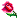 :pinkflower: